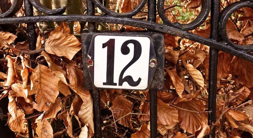 2025. november 12. – Információk, hírek vállalkozóknak