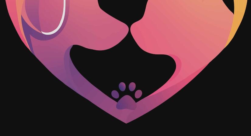 PetLove – társkereső, ahol az állat az első