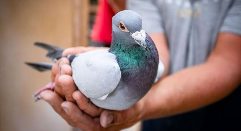 Már nem kell engedélyt kérni a rendőrségen, hogy repülhessenek