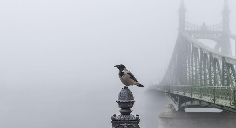 Ködpaplan borította be az országot – kellemetlen tüneteket tapasztalhatsz