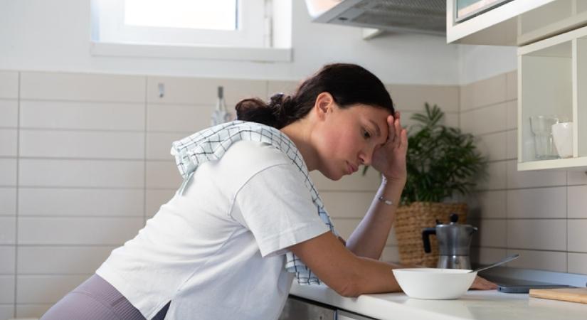 Légy résen: ez a konyhai eszköz a fertőzéseket terjesztő rovarok leggyakoribb búvóhelye - ellenőrizd a sajátodat, mielőtt túl késő lenne