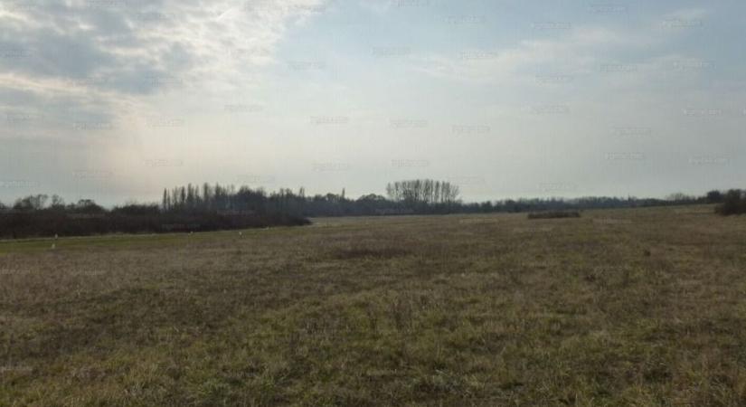 Ritka lehetőség: olcsó telek a Balaton közelében