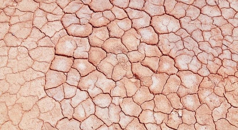 Nagy a baj: víz nélkül marad a Száraz-ér, tizennégy település fogott össze a megmentéséért