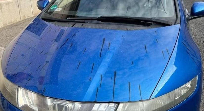 Újra lecsapott a gépzsíros rém – a pécsiek már bosszút forralnak