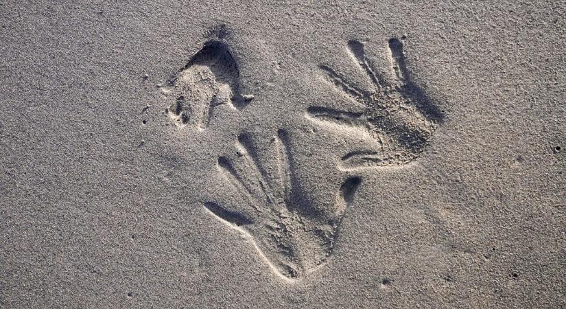 A Marson is jól jöhet a most felfedezett hetedik érzékünk, amellyel nagy távolságból érzékelhetünk tárgyakat