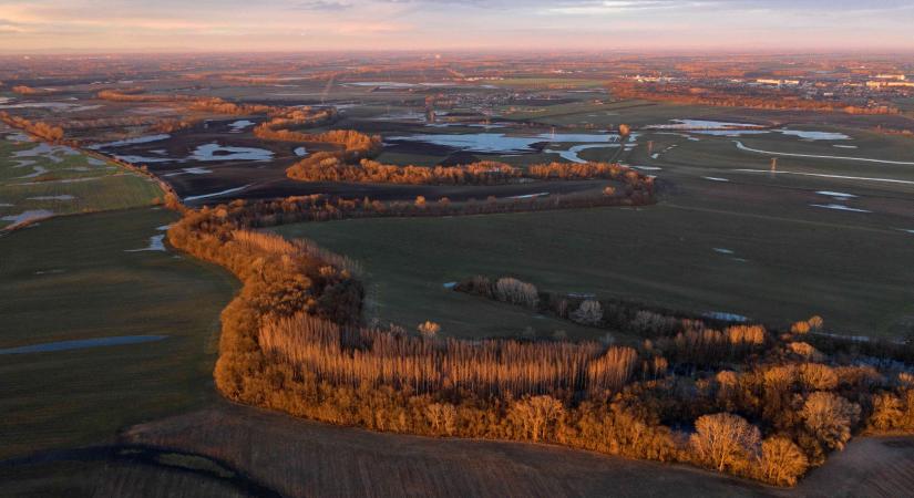 A tündérek mesés földje – Őszi feltöltődés a Csallóköz aranyló ölelésében