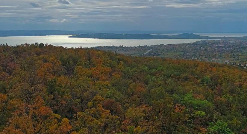 Csákány-hegy: panorámás magaslat Csopak felett