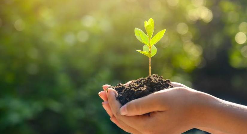 Nem mérgez, mégis folyamatosan pusztítja a bolygót – Magyar kutatónő dolgozik a fenntartható ammóniagyártás megoldásán