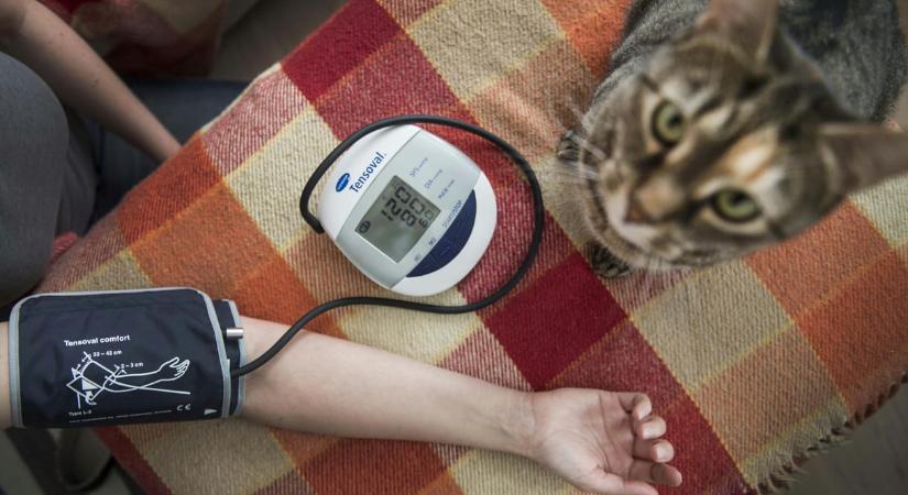 Szép lassan generációs betegség lesz a magas vérnyomás a fiatalok között