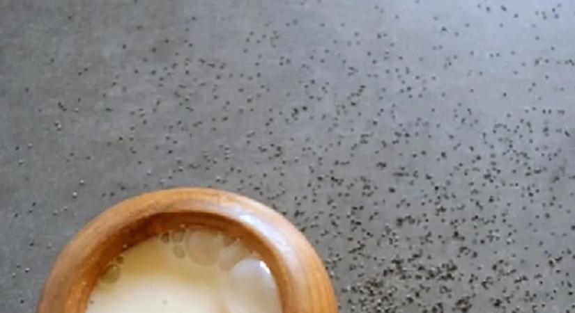 Máktej: egy pohárnyi béke a stressz és rohanás ellen