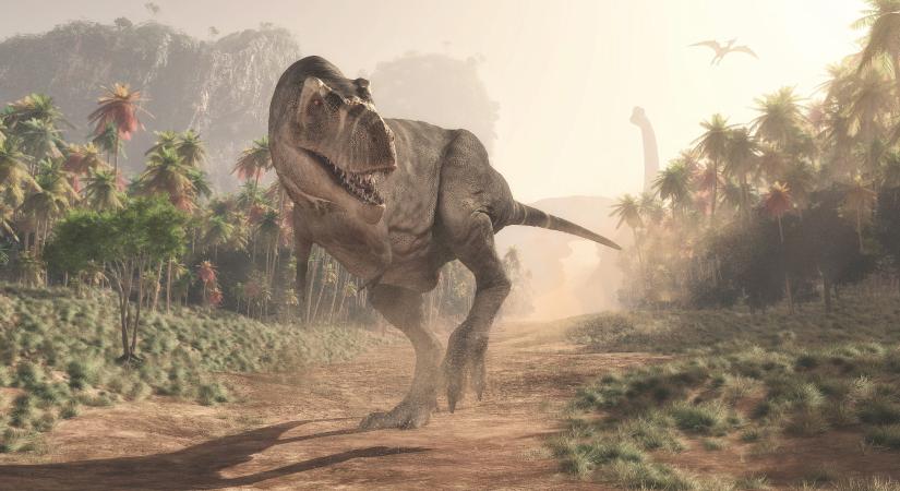 Paleontológusok megállapították, mekkora lehetett egy bébi Tyrannosaurus