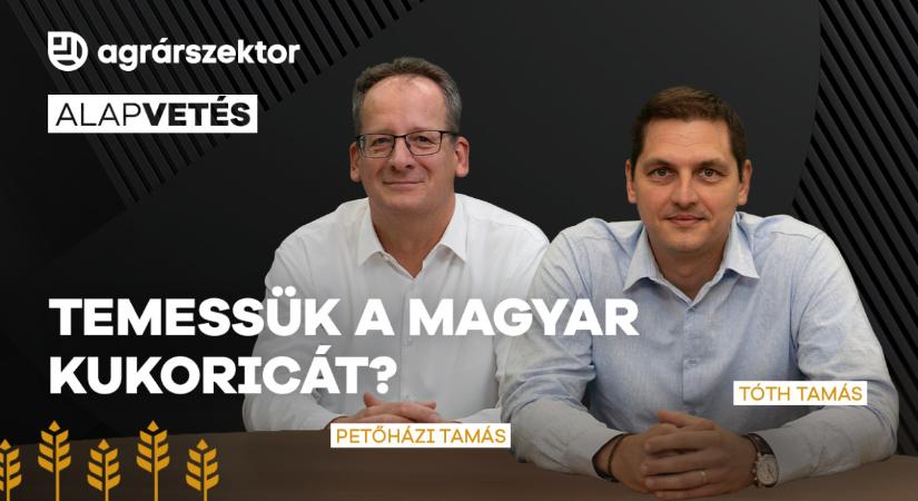 Temessük a magyar kukoricát? Már ott tartunk, hogy importra szorul az ország