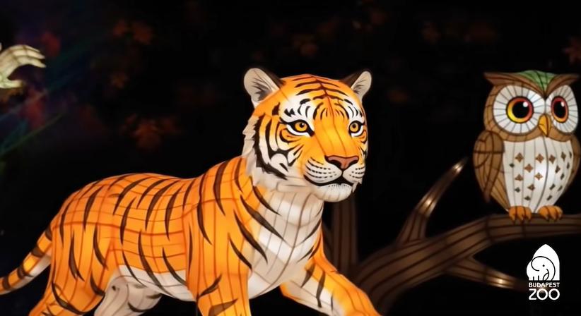 Kínai lampionparádé a Budapest Zooban