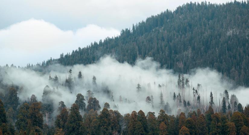 Időjárás: szürke, nyirkos napok front nélküli fejfájással