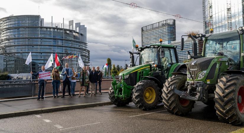 Készül a brüsszeli gazdatüntetés – Forrásmegvonás fenyegeti az uniós agráriumot
