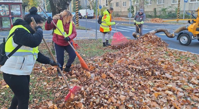 Megállás nélkül dolgoznak - nagy erőkkel gyűjti a lehullott lombot a Győr-Szol