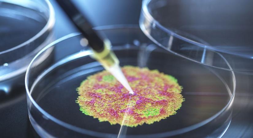 Aggasztó: újra megjelent Európában a vírus, amely a gyermekbénulást okozza