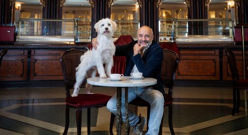 Hogy kerülnek kutyák a Vígszínházba? Megható akció a kulisszák mögött - Galéria