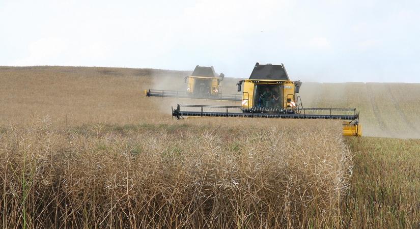 5 pénzügyi hiba, amit a gazdák most nem engedhetnek meg