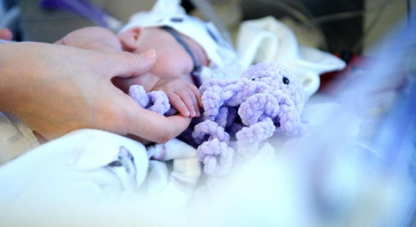 Koraszülöttek világnapja: színes programokkal és lila fénnyel emlékeznek Debrecenben