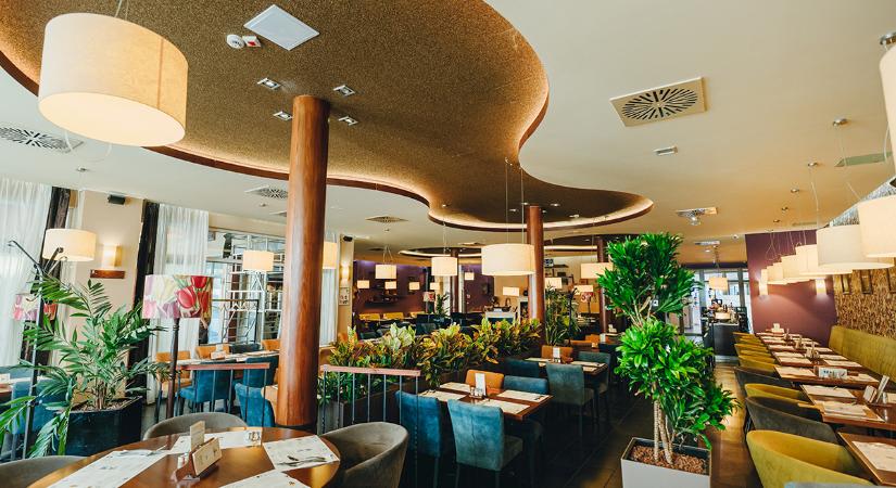 Kultúra és gasztronómia találkozása Újlipótvárosban