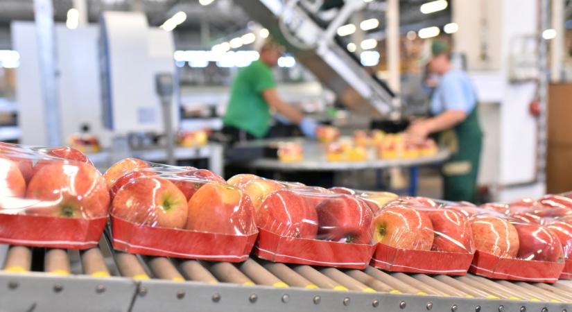 Tönkreteheti a magyar termelőket a díjemelés: levelet írtak a miniszternek