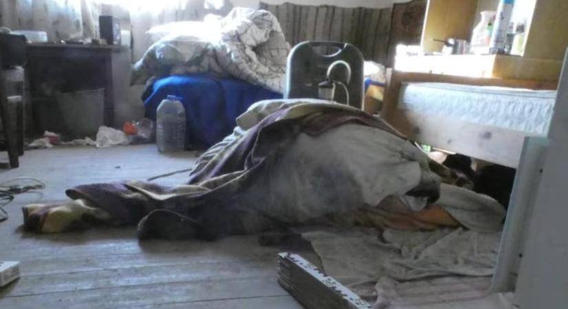 Meggyilkolták a holtan talált tápiószőlősi nyugdíjast, fejszével és kőműveskalapáccsal végeztek vele