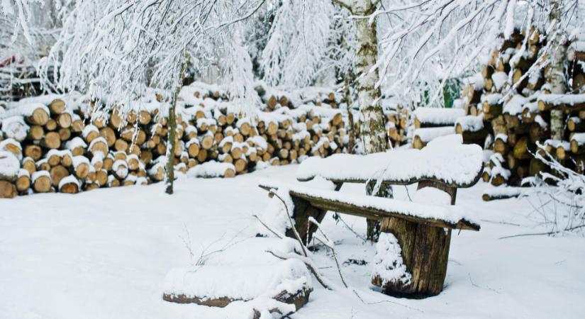 Így óvhatja meg kertjét a fagytól szinte fillérekből
