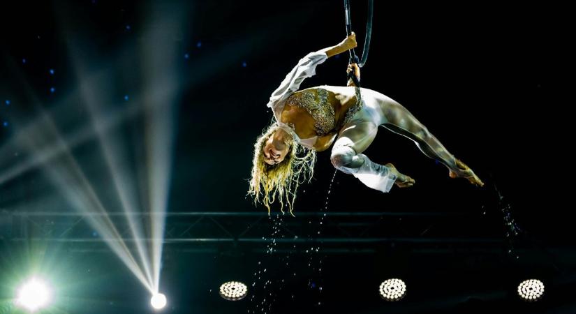 Hároméves lett a Magyar Cirkuszművészeti Múzeum