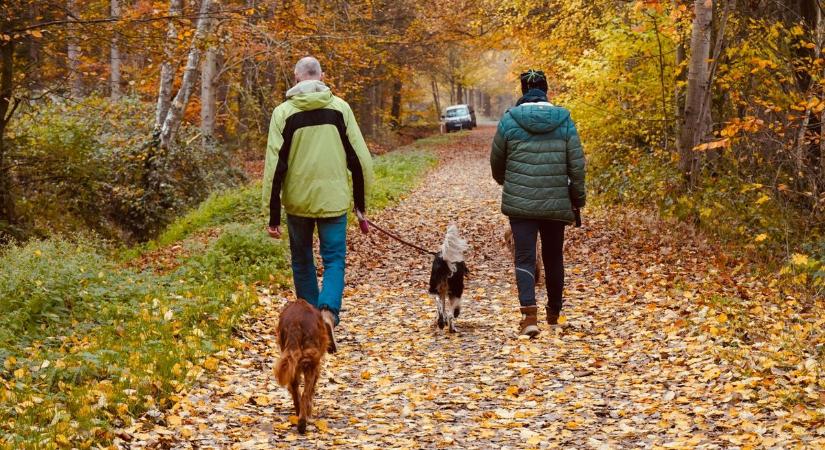 Fejlámpa, cserezokni és amire nem gondol, de életet menthet az őszi túrázáskor