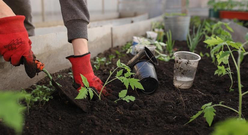 A legtakarékosabb téli fóliahackek egy helyen