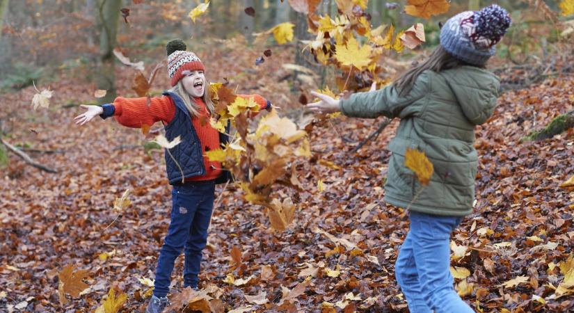Családi programajánló hétvégére – november 14-16.