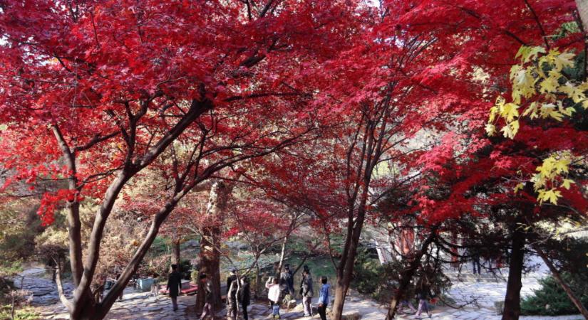 Ősz Észak-Koreában