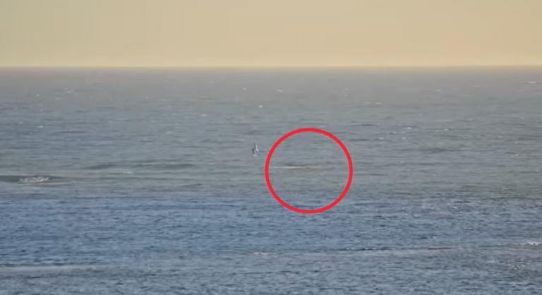 Cápa támadt egy férfira Ausztráliában, kis híján életét vesztette