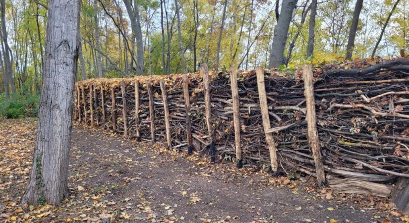 Holtfa sövény készült Csopakon