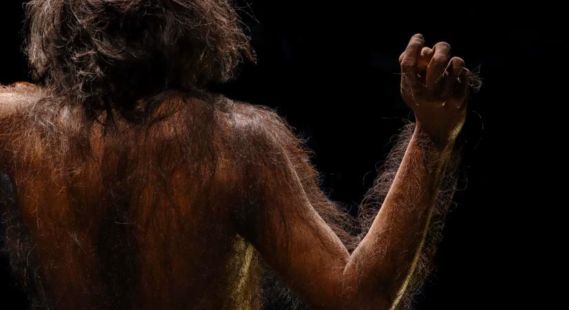 Mégsem a húsevéstől fejlődtek nagyot az őseink – új kutatások cáfolják a mítoszt