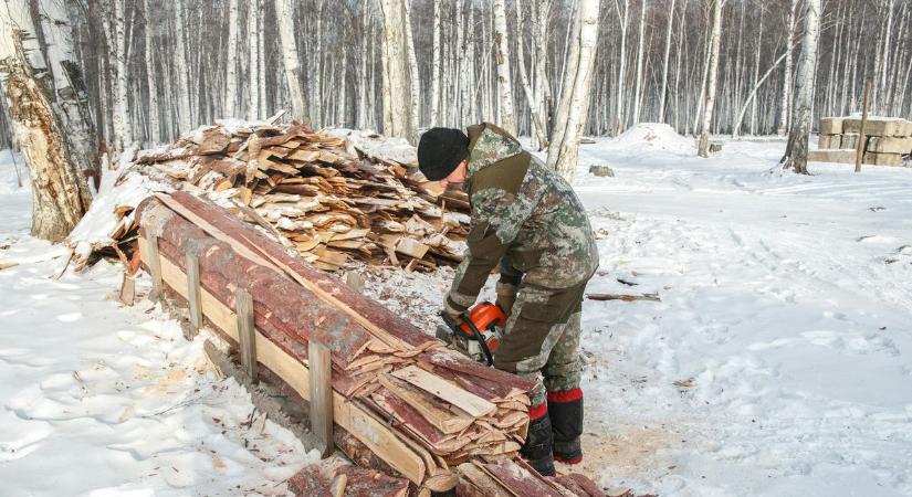 Téli munkavédelmi kabátok a Bakonyban: ne fázz meg munka közben!