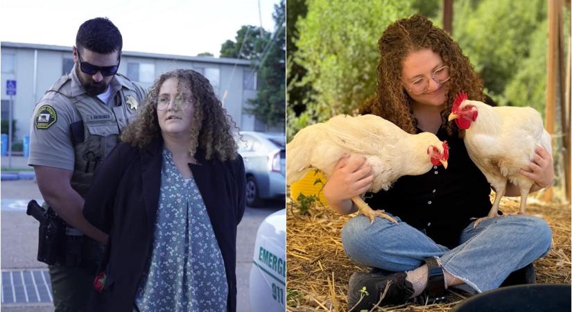 Csirkéket mentett, most viszont a saját szabadságáért kell küzdenie