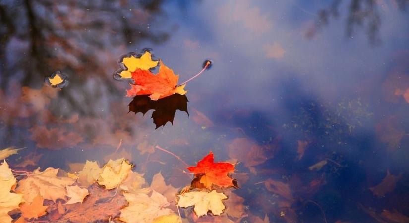 Szegeden holnap sem ragyog a nap, készülj a párás időre!
