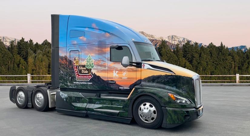 Óriási karácsonyfát kell húznia ennek a csőrősnek