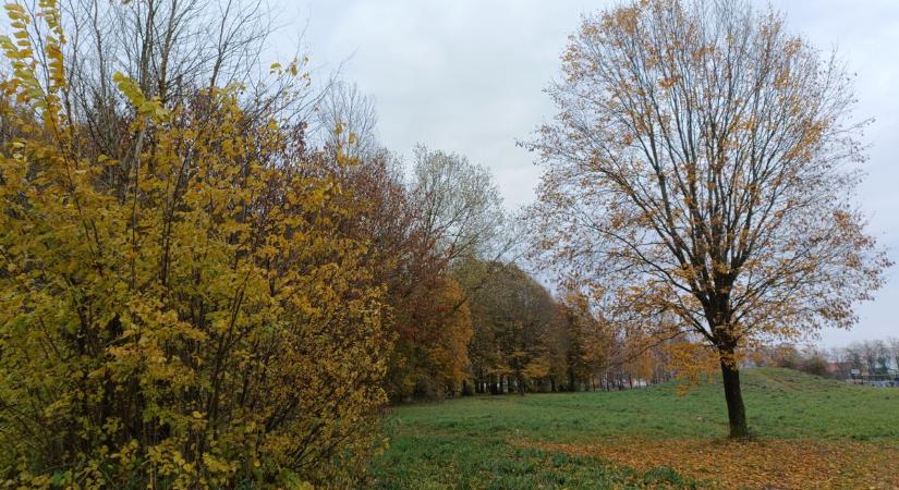 Időjárás-előrejelzés holnapra: így alakul a hőmérséklet