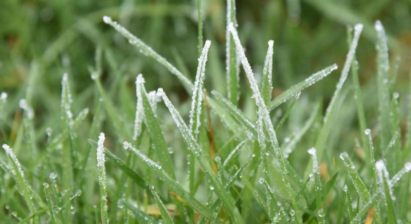 Gyep téli pihenő üzemmód – mit szabad és mit ne csináljunk?
