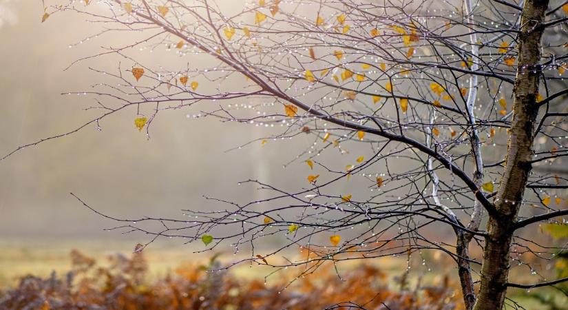 Marad a borongós, ködös idő a hétvégén is – csak ezen az országrészen várható napsütés