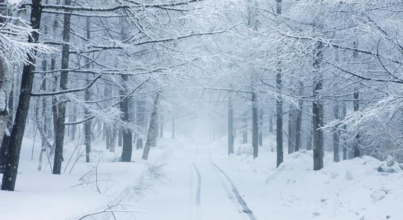 Összeomlik idén a polar vortex? - Megszólaltak a szakértők, kiderült, milyen tél várhat ránk