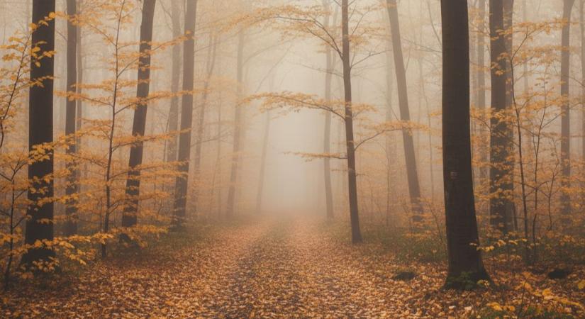 Borult, ködös hétvége vár a hajdú-bihariakra