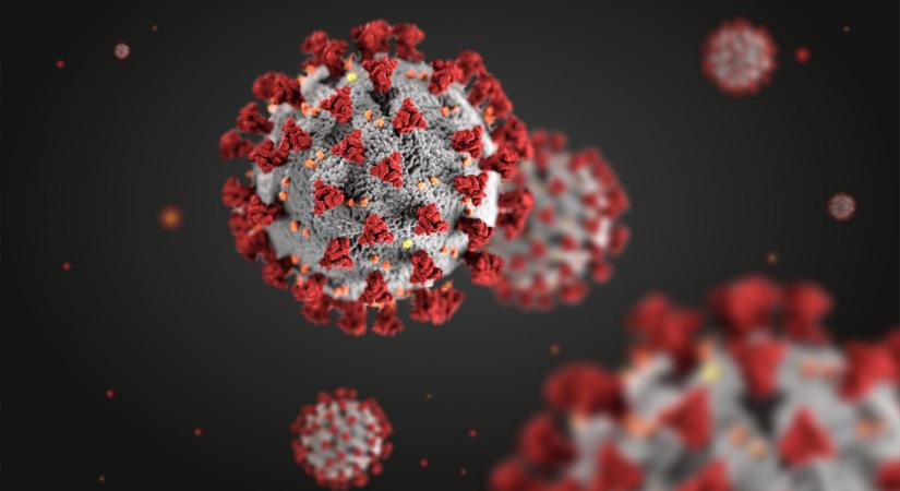 Meglepő fordulat: új irányt vesz a koronavírus és az influenza