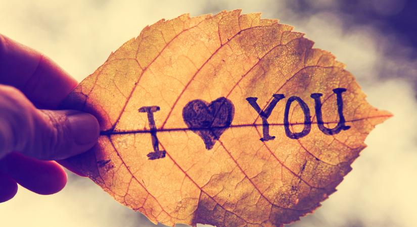 Napi horoszkóp 2025. november 14.: pénteken a Nap-Hold szextil szerelmet hozhat