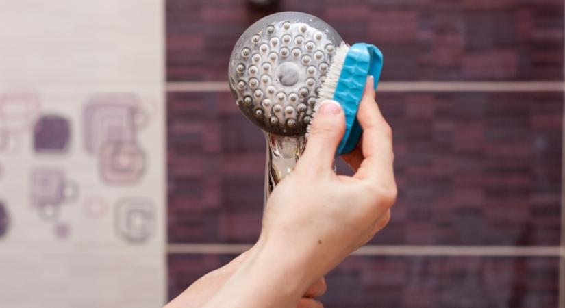 Eldugult a zuhanyfej? Így tisztíthatod meg néhány lépésben, gyorsan és egyszerűen!