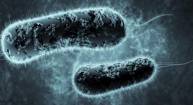 50 éve ismerik, de csak most döbbentek rá a vegyület gyógyerejére