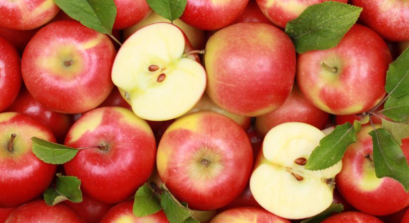 Itt a 14 termék listája, amivel februág végéig bővül az árrésstop-lista